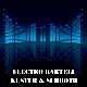 Electric_Gigolo_Technolym..